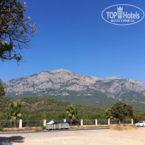 фото из отзыва ID 1290413