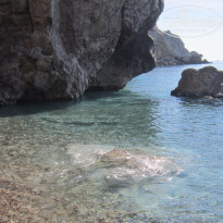 фото из отзыва ID 1290487