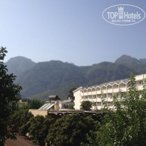 фото из отзыва ID 1290739