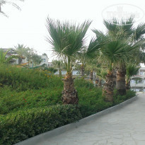 фото из отзыва ID 1290842