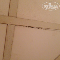 фото из отзыва ID 1290950