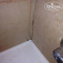 фото из отзыва ID 1290950