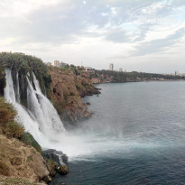 фото из отзыва ID 1291100