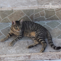 фото из отзыва ID 1291194