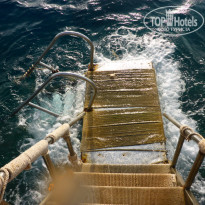 фото из отзыва ID 1291327