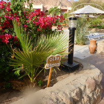 фото из отзыва ID 1291327