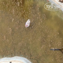 фото из отзыва ID 1291512