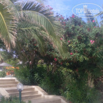 фото из отзыва ID 1291649