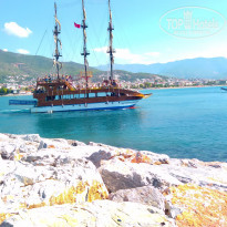 фото из отзыва ID 1291681