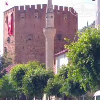 фото из отзыва ID 1291681