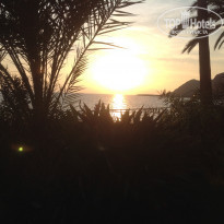 фото из отзыва ID 1291828