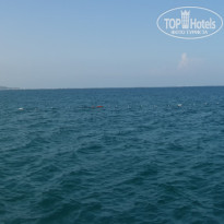 фото из отзыва ID 1291934