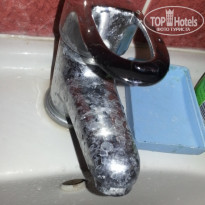 фото из отзыва ID 1291935