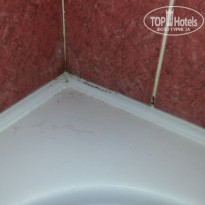 фото из отзыва ID 1291935