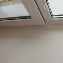 фото из отзыва ID 1291935