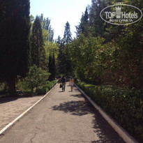 фото из отзыва ID 1291964