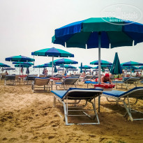 фото из отзыва ID 1292041