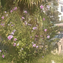 фото из отзыва ID 1292195