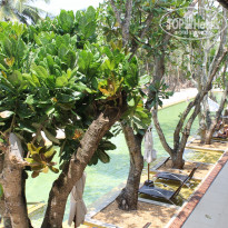 фото из отзыва ID 1292255