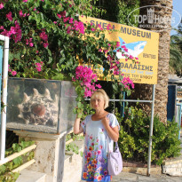 фото из отзыва ID 1292351