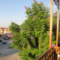 фото из отзыва ID 1292530