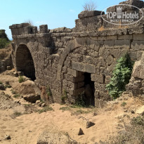 фото из отзыва ID 1292045