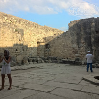 фото из отзыва ID 1292045