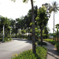 фото из отзыва ID 1292861