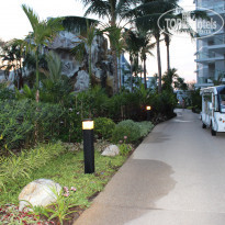 фото из отзыва ID 1292861