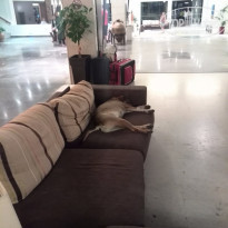 фото из отзыва ID 1292875