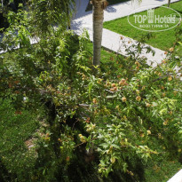 фото из отзыва ID 1292897