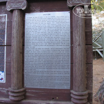 фото из отзыва ID 1293031