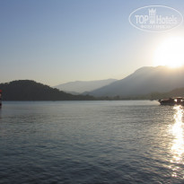 фото из отзыва ID 1293031