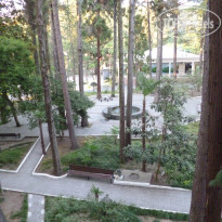 фото из отзыва ID 1293206