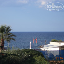 фото из отзыва ID 1293286