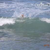 фото из отзыва ID 1293286