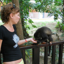 фото из отзыва ID 1293441