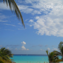 фото из отзыва ID 1293441