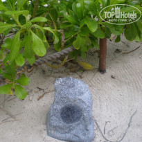 фото из отзыва ID 1293441