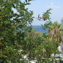 фото из отзыва ID 1293537