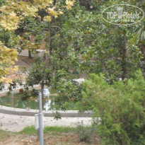 фото из отзыва ID 1293740