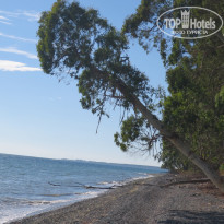 фото из отзыва ID 1293793