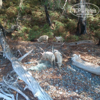 фото из отзыва ID 1293793