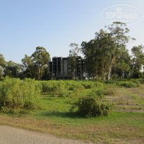 фото из отзыва ID 1293793