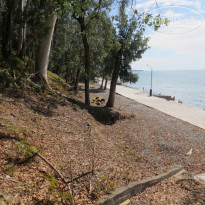 фото из отзыва ID 1293793