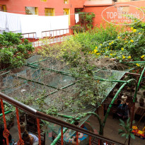 фото из отзыва ID 1294000