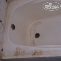 фото из отзыва ID 1294183