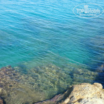 фото из отзыва ID 1294307