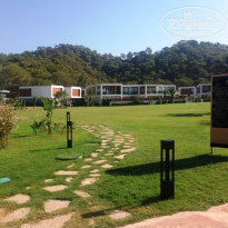 фото из отзыва ID 1294349