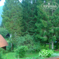 фото из отзыва ID 1294450